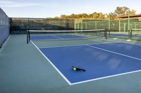 Tennis Court Barrier Nets Pune